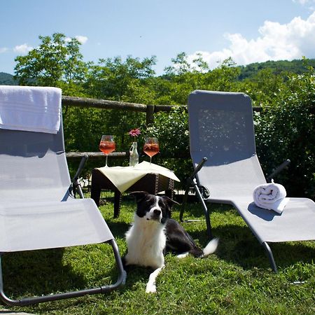 Agriturismo Monte Del Re San Pietro al Natisone Dış mekan fotoğraf